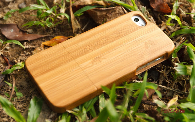 Bamboo Wood6