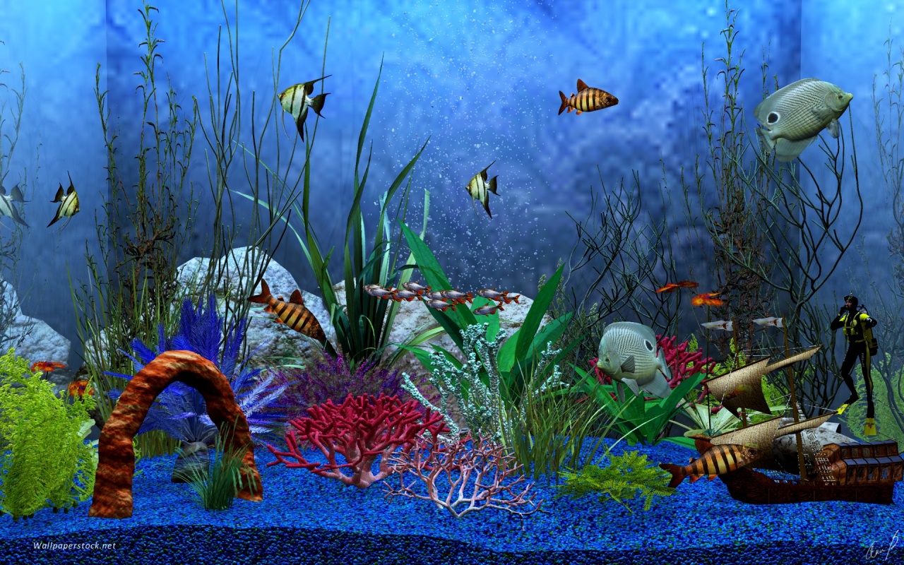 Wallpaper Ikan Bergerak Dalam Aquarium Images Hewan Lucu Terbaru