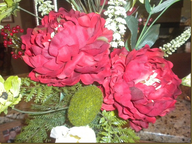 DSCN3859