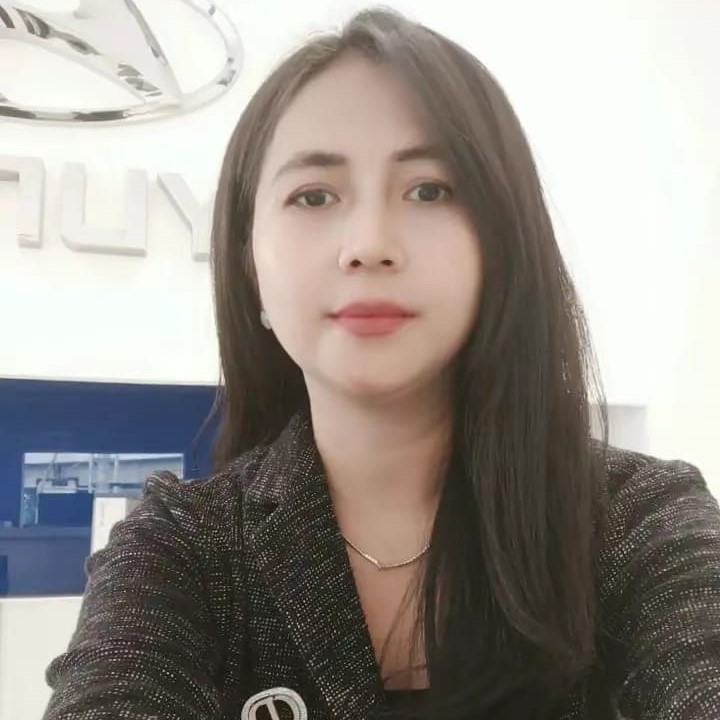 Hyundai Meruya Sales