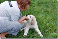 DSC_1355_edited