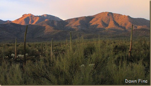 rainbow desert_036