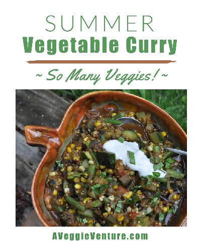 Summer Vegetable Curry ♥ AVeggieVenture.com, great for summer vegetables at their peak.