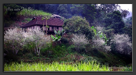 Cảnh đẹp Việt Nam