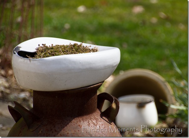 Day 99 - That's a PLANTER Not a Bed Pan