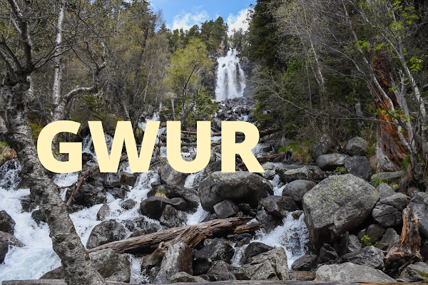 Definition of the phoneme GWUR. Image of large Stones and wood in a Forest River