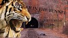 Summary of The Tiger in the Tunnel by Ruskin Bond