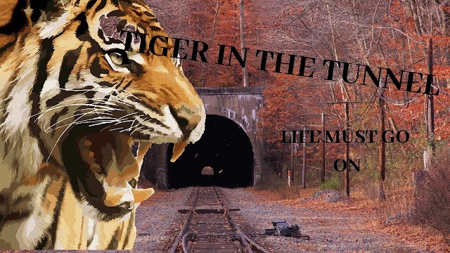 Summary of The Tiger in the Tunnel by Ruskin Bond