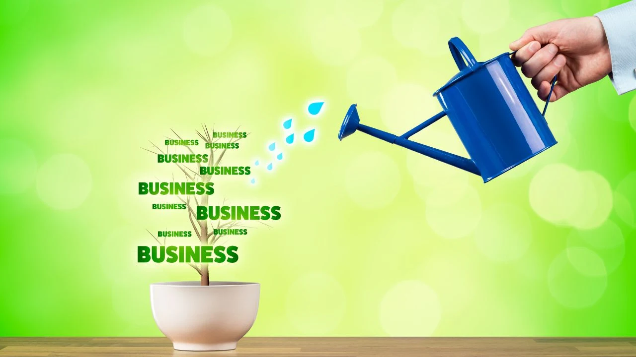 Small business growth concept represented by a plant watered by businessman.