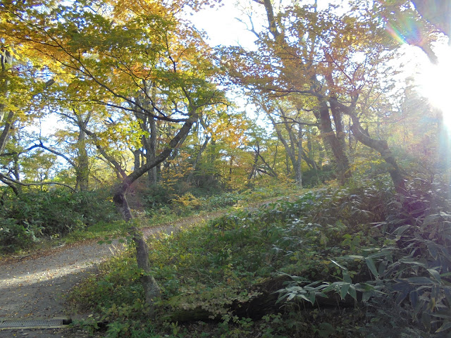 下山キャンプ場