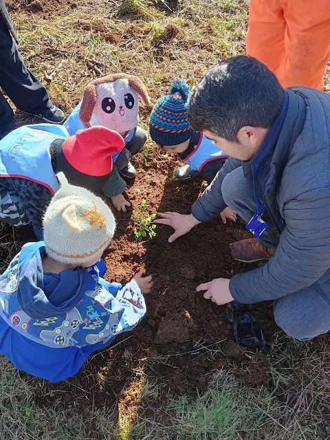 Masiva plantación de árboles nativos en San Juan de la Costa