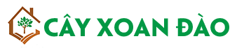 Cây Xoan Đào