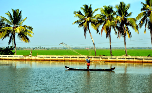 Backwater and fisherman in Alappey - Kerala