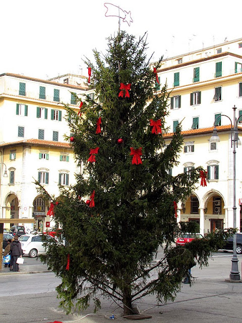 Albero di Natale, piazza Grande, Livorno