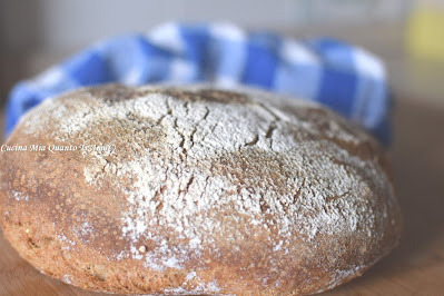 Pane ai cereali con lievito di birra