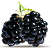 Blackberries