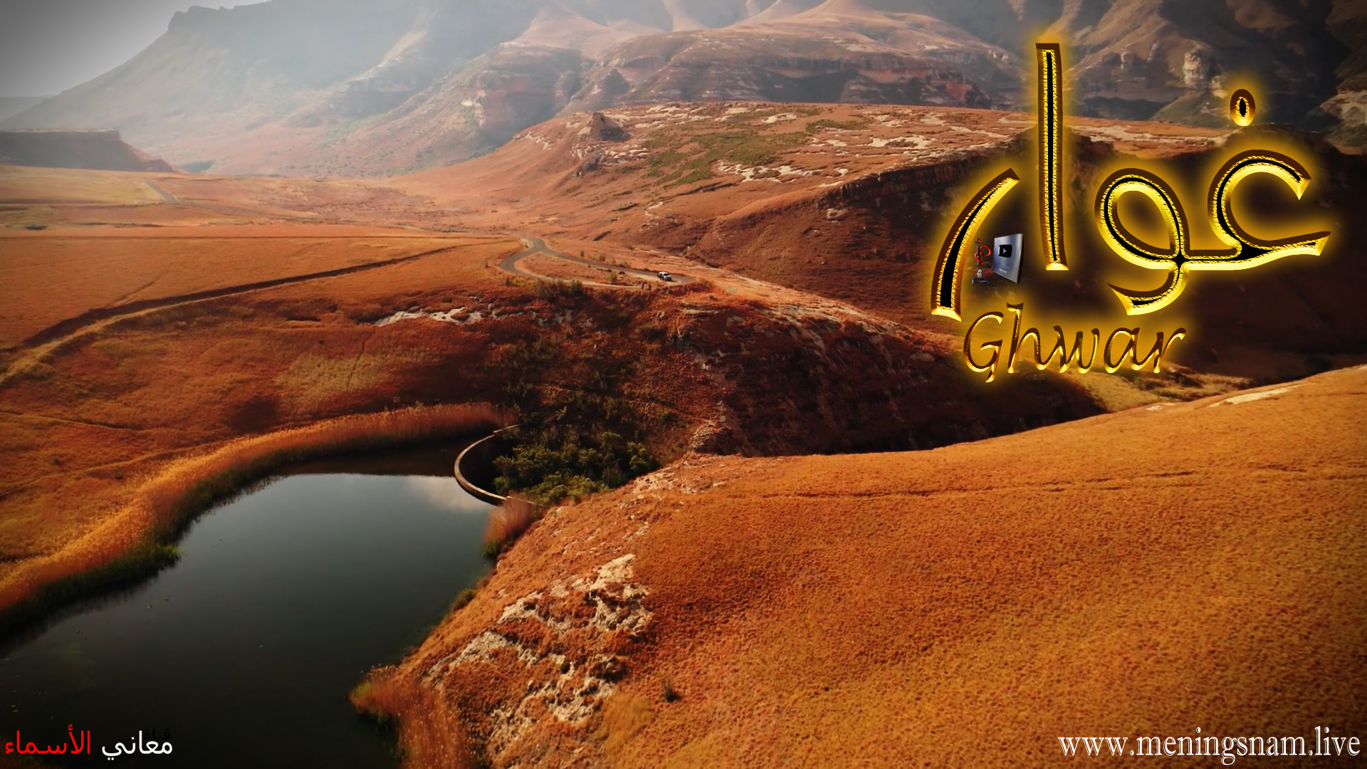 معنى اسم, غوار, وصفات, حامل, هذا الاسم, Ghawar,
