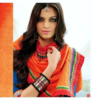 Colorful Designer Saree collection