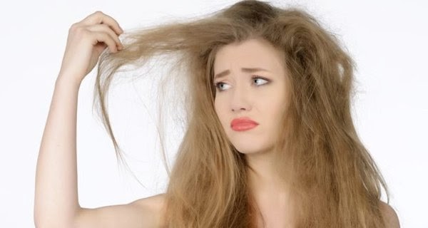 Tips Cara Merawat Rambut Kering