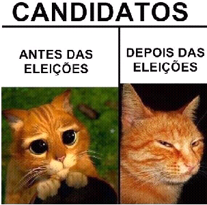 Eleições.