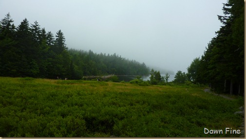 Bubble rock and Jordon pond_068