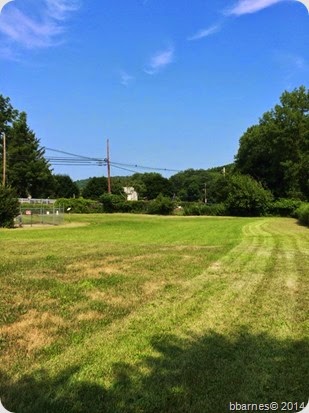 July 13 mowing
