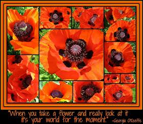 photo of: Photo Collage of Poppies with Georgia O'Keeffe quotation