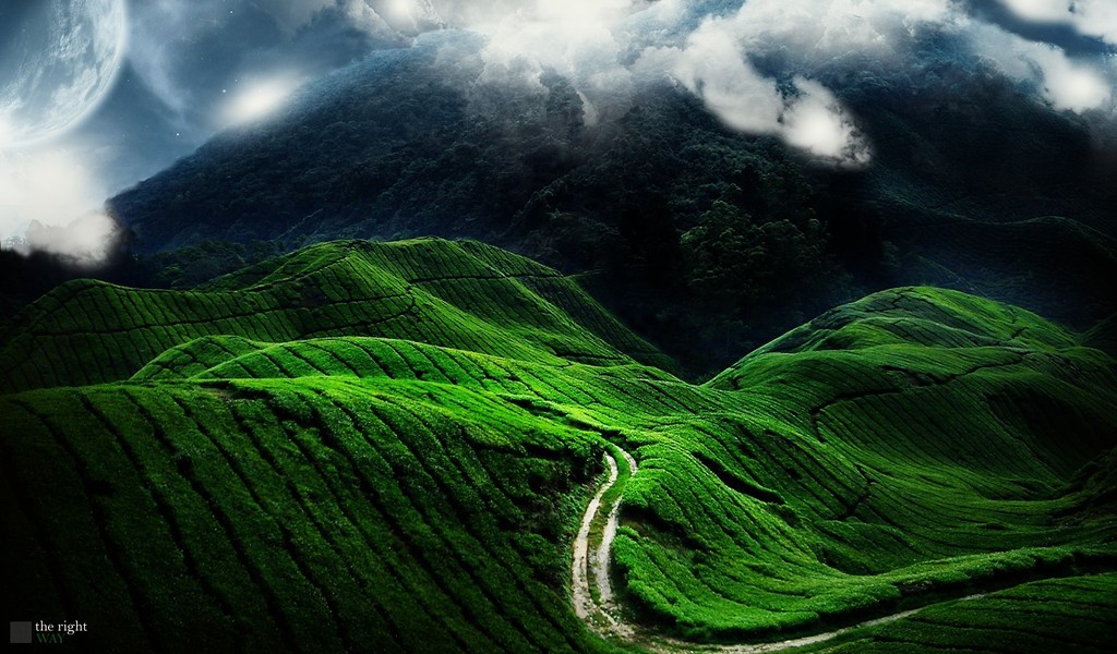 free windows background wallpaper. Free Green Mountain Nature