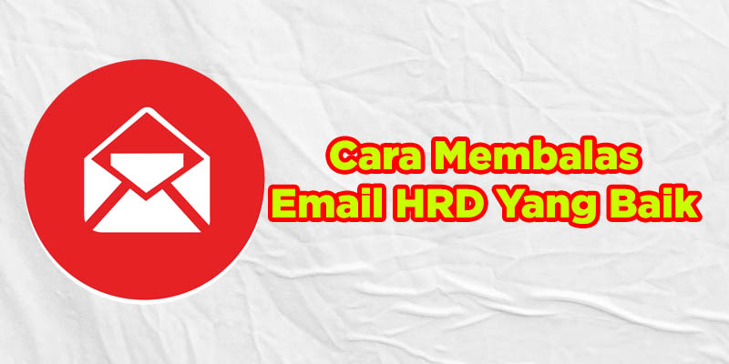 cara membalas email hrd yang baik