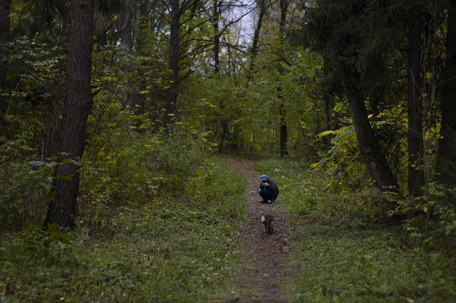 Autumn in Minsk park