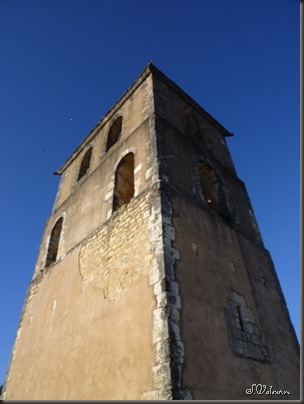 P1060961