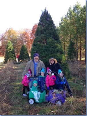 tree11