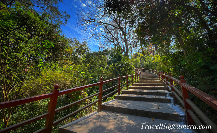 Beyond its spiritual significance, Tarna Hill offers a haven for nature enthusiasts and adventure seekers. Trekking trails meander through dense forests and alpine meadows, offering panoramic views of the Himalayan peaks and verdant valleys below. Visitors can also explore nearby attractions such as the Prashar Lake, Barot Valley, and Rewalsar Lake, each offering its own unique charm and allure.