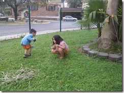 SOLONE_IMG_20160307_181026