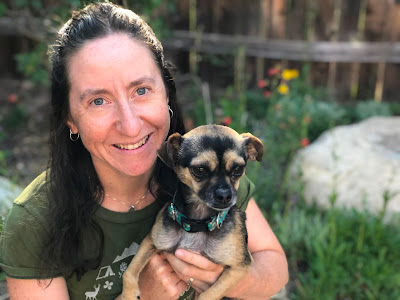 6 reasons to brush your pet's teeth. Veterinarian Dr. Rachel Szumel pictured holding her Chihuahua, who loves to have her teeth brushed