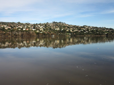 Rivera del río Tamar en Launceston, Tasmania