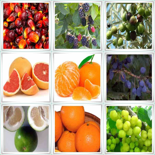 Fruit Names Starting With O