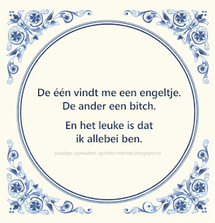 plaatjes met nederlandse quotes