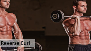 Reverse Curl,5 best exercise for forearms