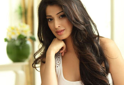 Lakshmi Rai Wallpapers 2013