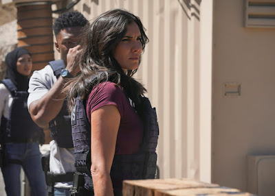 Ncis Los Angeles Season 14 Image 10