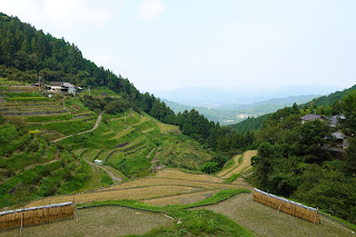 Izumidani Rice Terraces