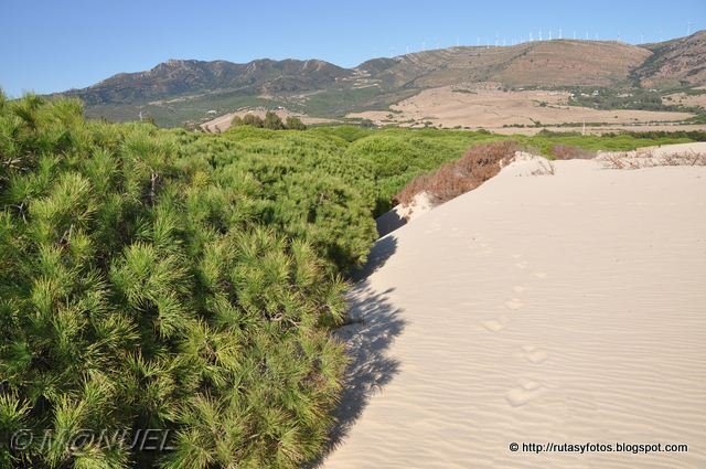 Duna de Valdevaqueros