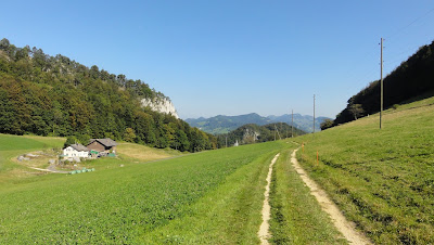 schemelhof-greierlet