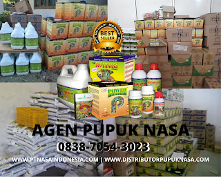 http://www.distributorpupuknasa.com/2020/01/agen-pupuk-nasa-pangkalan-kerinci.html