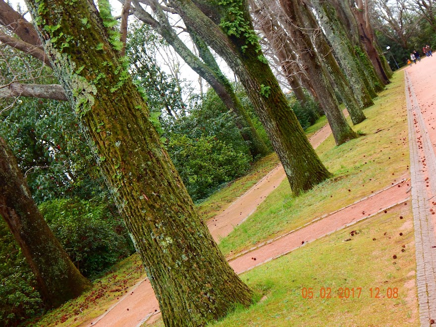 MUSEU DE SERRALVES-PORTO-PORTUGAL