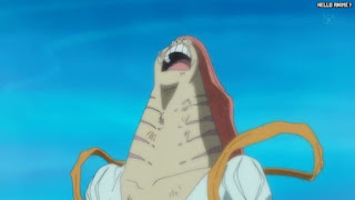 ワンピースアニメ 魚人島編 561話 リュウボシ | ONE PIECE Episode 561