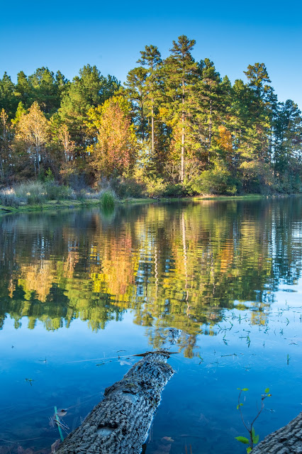 Tyler State Park Lake