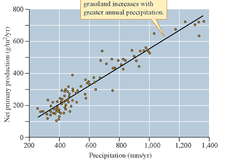 Productividad vs disponibilidad de agua. Efecto en la productividad de un ecosistema de praderas  templadas o altiplanos de la disponibilidad de agua, la tendencia implica que a mayor disponibilidad de agua, la productividad del ecosistema aumenta.
