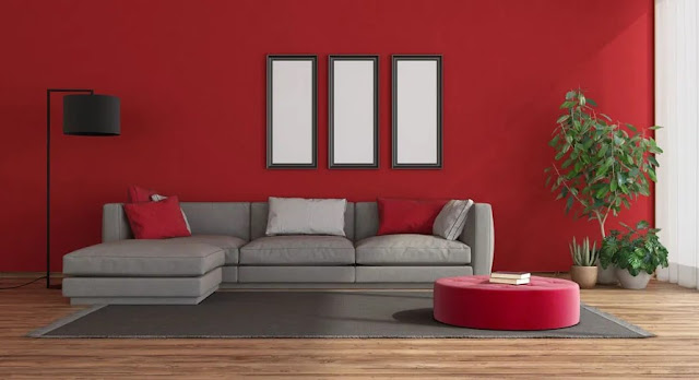 Red Living room wall with grey sofa and couch